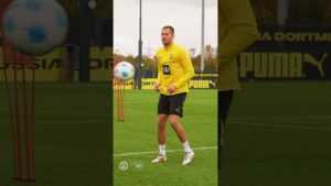 retour sur le terrain : Étape par étape 🌱 #bvb