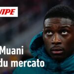 psg/mercato : les raisons de l’engouement autour de kolo muani cet hiver !